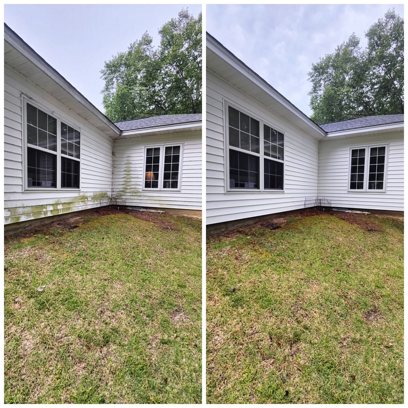 White house front, mildew before and clean after