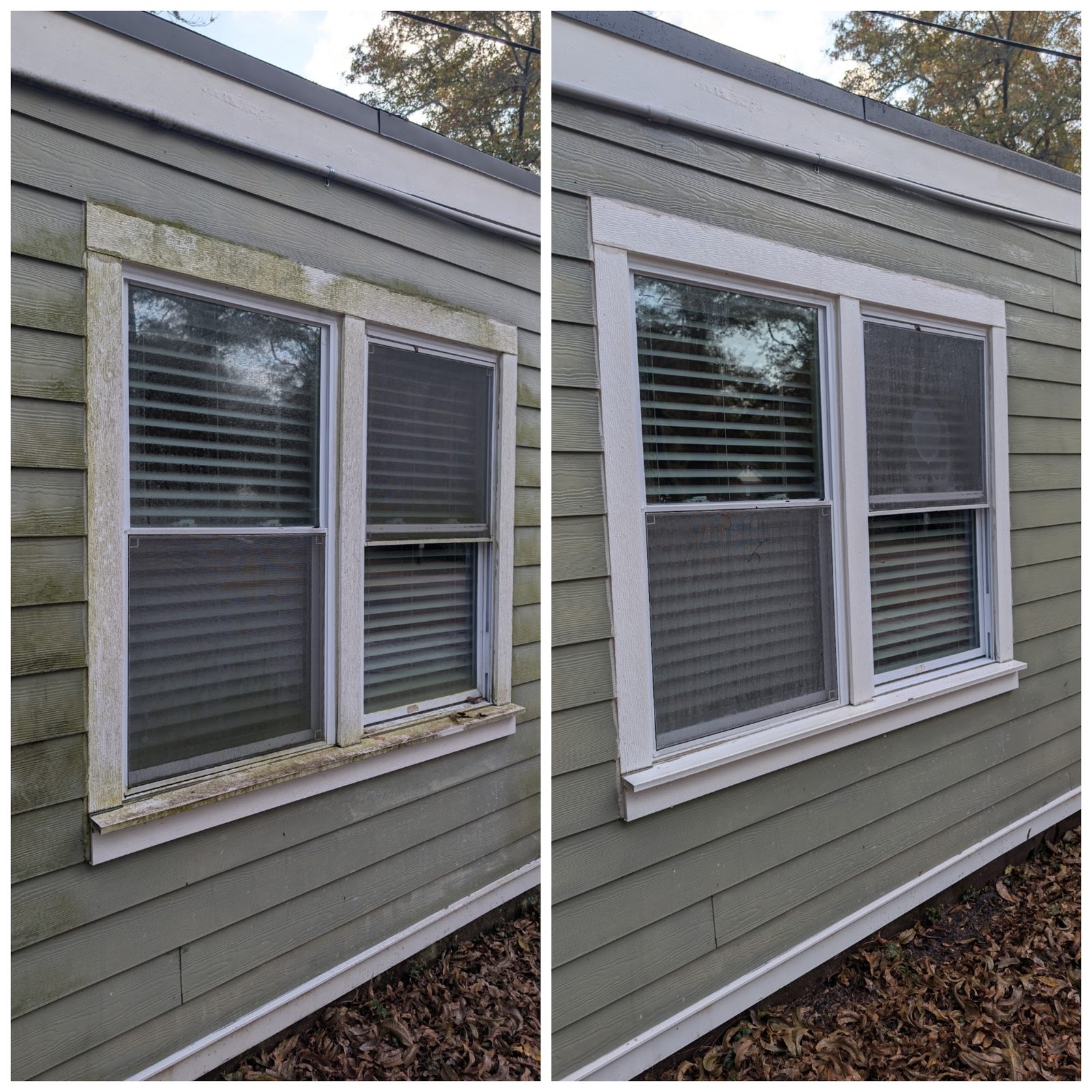 Vinyl siding and window trim, green before and white after