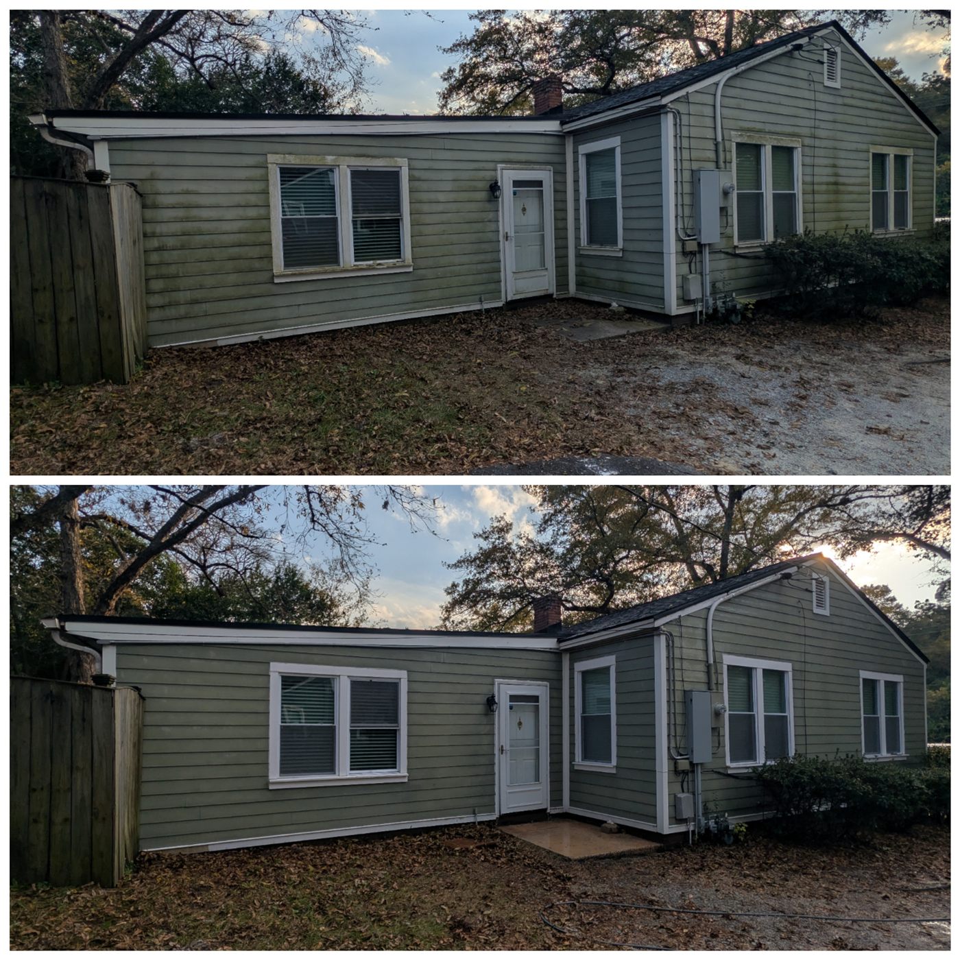 Green painted lap siding, mildew streaks before and an even finish after