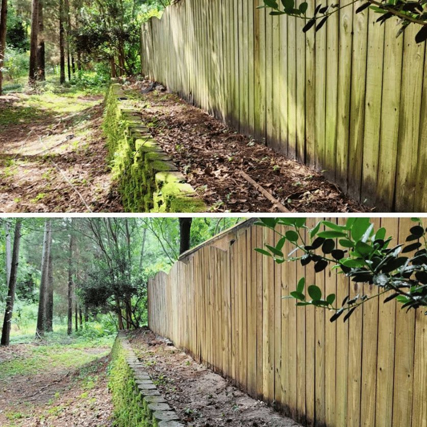 fence cleaning
